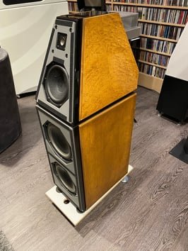 paradigm persona 3f schwarz