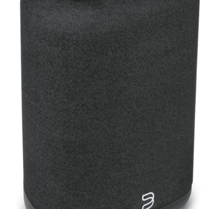 Bluesound Pulse-Flex P130