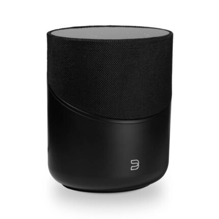 Bluesound Pulse-M