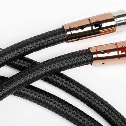 AudioQuest Black Beauty