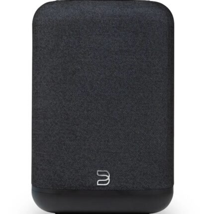 Bluesound Pulse-Flex P130