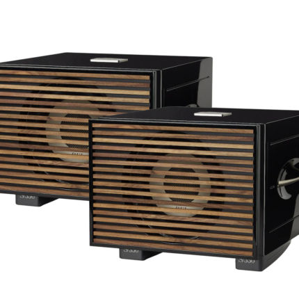 Pair of black bookshelf speakers with horizontal wooden slat grills and visible drivers on a white background